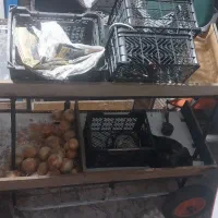 طبق میوه