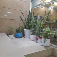 واگذاری شیفت فعال بانوان باشگاه