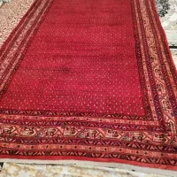 فرس دستبافت|فرش|تهران, المهدی|دیوار