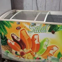 یخچال بستنی دو درب