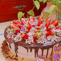 کیک|خوردنی و آشامیدنی|قم, باجک دو|دیوار