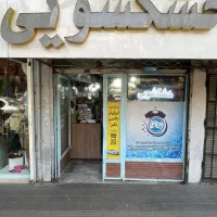 خشکشویی زرین با ارسال رایگان