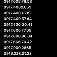 0919.228.31.28