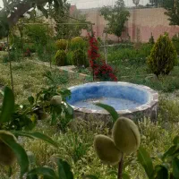 باغ هزار متری کلاکوب جاده کلات|فروش خانه و ویلا|مشهد, کلاکوب|دیوار