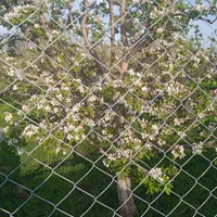 باغ کامل با برق و اب آشامیدنی و سند تک برگ|فروش خانه و ویلا|بستان آباد, |دیوار