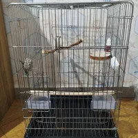 قفس پرنده