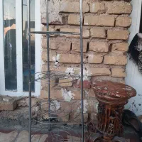 جا گلدانی استند|گل و گیاه طبیعی|شیراز, ریاستی|دیوار