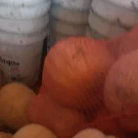حراج لوکس|حراج|کشکسرای, |دیوار