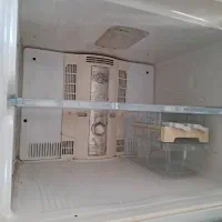 یخچال وفریزر دوو|یخچال و فریزر|کرمان, |دیوار