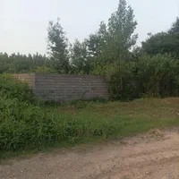 فروش زمین ۵۸۵ متربا پروانه ساخت لیالستان لاهیجان|فروش زمین و ملک کلنگی|لاهیجان, لیالستان|دیوار