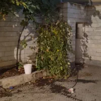 ویلایی در افسریه