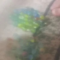 تله صحیح سالم تا۶۰|اسباببازی بچه|گرگان, |دیوار