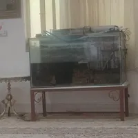 اکواریوم بزرگ