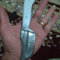 مولد معاوضه با جوجه مرغ عشق|پرنده|رشت, شهرک صبا|دیوار