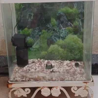 آکواریوم با پمپ آب و لامپ و سنگ تزئینی