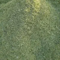 یونجه خشک خورد شده