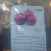 فروش بذر پیاز زرد ریو. قرمز .‌.مینروا سفید|گل و گیاه طبیعی|کهنوج, |دیوار