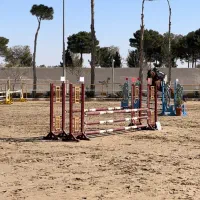 اسب ترکن پرش