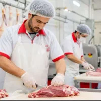 قطعه کار و نیروی خدماتی باسابقه جهت تولید گوشت
