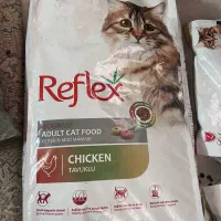 پخش عمده غذا خشک سگ و گربه