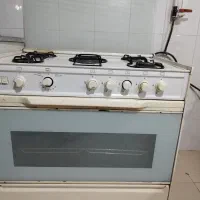 فرگازسینجرسالم