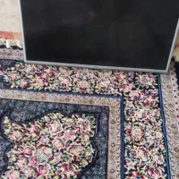 ال ای دی الجی