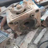 فوری|خدمات باغبانی و درختکاری|بیکاه, |دیوار