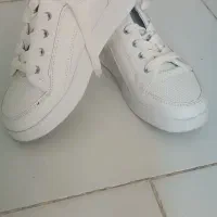 کفش|کیف، کفش، کمربند|چناران, |دیوار