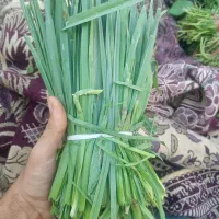 سبزی خوردنی|خوردنی و آشامیدنی|اهواز, فاز ۲ پادادشهر|دیوار