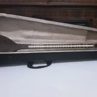 سه تار با کیف