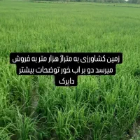 زمین-کشاورزی