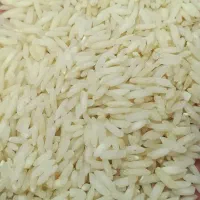 بهترین برنجهای شمال|خوردنی و آشامیدنی|اردبیل, |دیوار