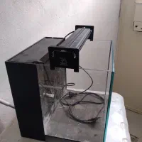 اکواریوم ماهی
