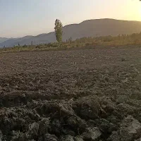 اجاره زمین کشاورزی