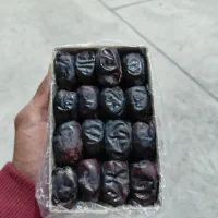 فروش خرمای مضافتی بم