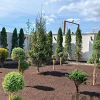 خدمات کل باغبانی|خدمات باغبانی و درختکاری|اسلامشهر, زرافشان|دیوار