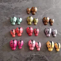 مگنت یخچالی کفشدوزک