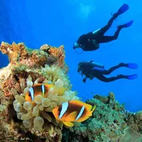 آموزش غواصی open waterدر کیش
