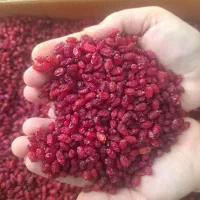 زرشک اعلا مشهد به قیمت پخش (حذف کامل واسطه)