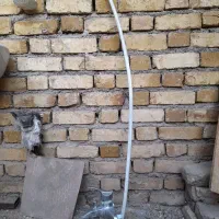 شیر حمام به همراه  علم دوش