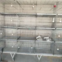 قفس 64حرفه ای