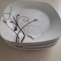 بشقاب پردیس