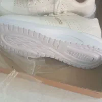 کتونی اکو|کیف، کفش، کمربند|ملارد, |دیوار