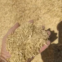 کاه با کیفیت