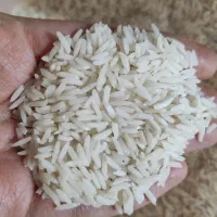 برنج ایرانی