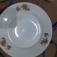 بشقاب چینی|ظروف سرو و پذیرایی|اردبیل, |دیوار