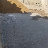 ملک گلنگی مرکز شهر
