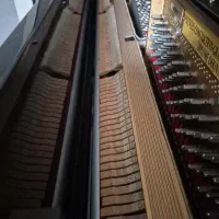 پیانو اکوستیک پتروف|پیانو، کیبورد، آکاردئون|کرج, فاز ۳ گوهردشت|دیوار