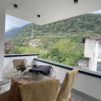 صبحانه-رو-به-جنگل-میل-کن-دوبلکس-نقلی-7-تومن