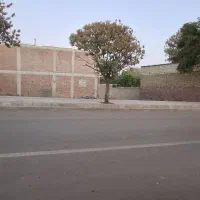 فرش زمین تجاری